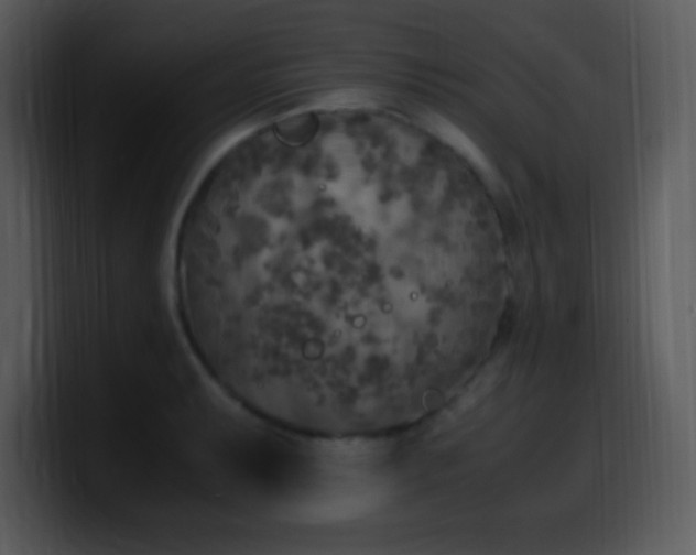 X0000100421087200806061358