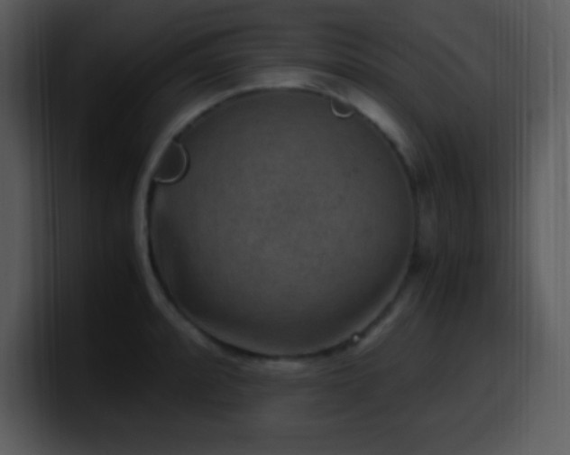 X0000100421088200806061358