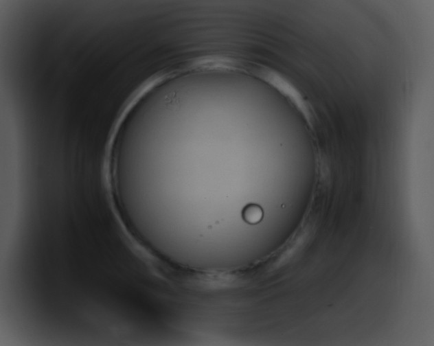 X0000100421090200806061357