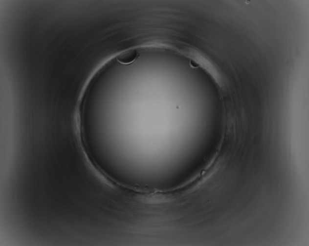 X0000100421092200806061357