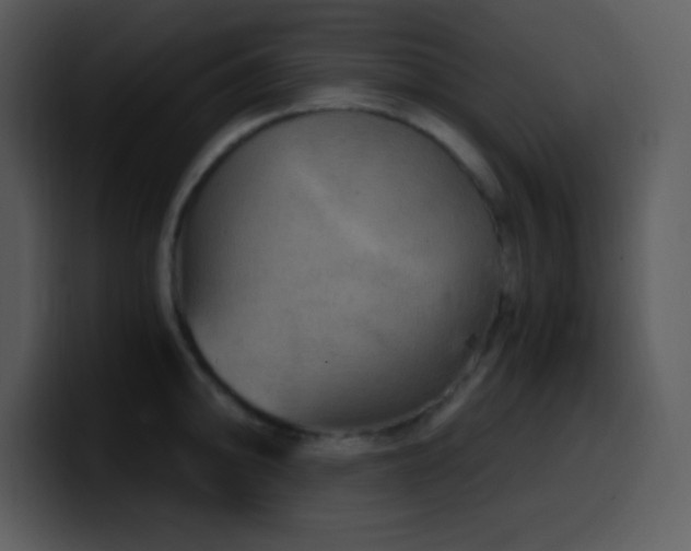 X0000100421094200806061357