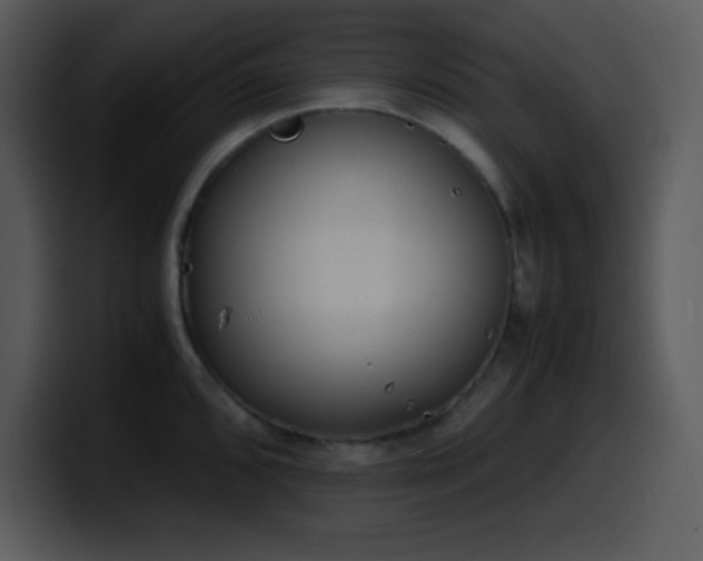 X0000100421096200806061357