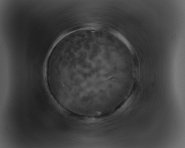 X0000100421099200806061357