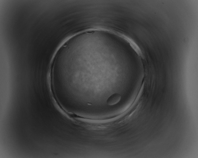 X0000100421100200806061357