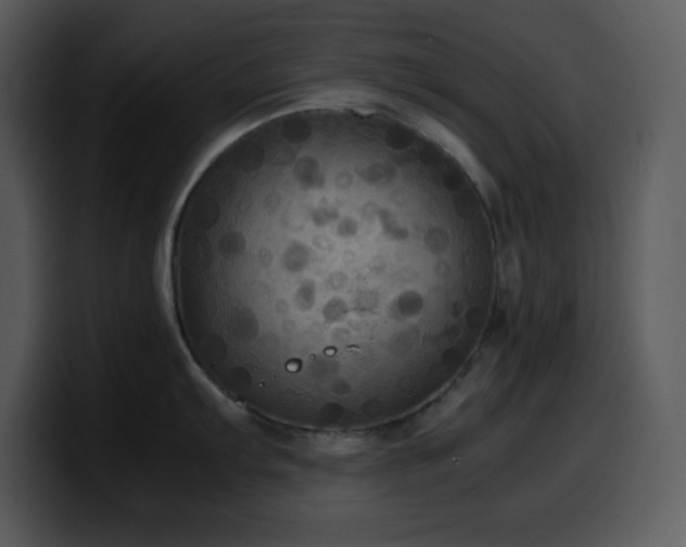 X0000100421103200806061357