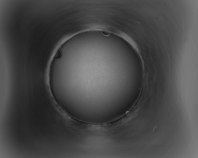 X0000100421104200806061357