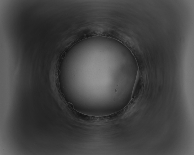 X0000100421105200806061357