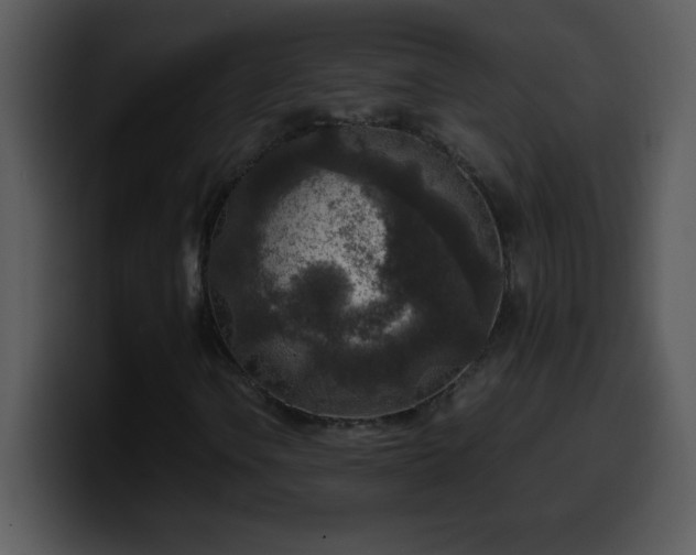 X0000100421106200806061357