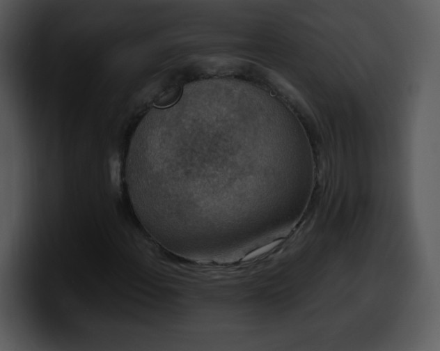 X0000100421108200806061357