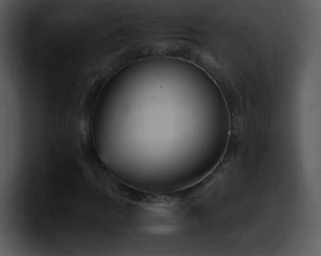 X0000100421109200806061357