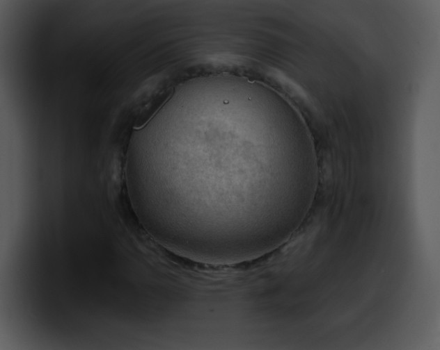 X0000100421110200806061357
