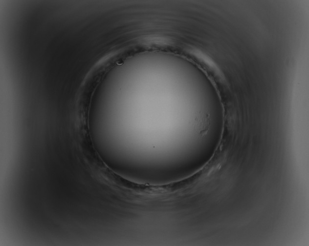 X0000100421112200806061357