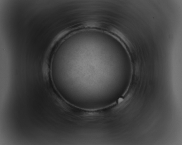 X0000100421115200806061357