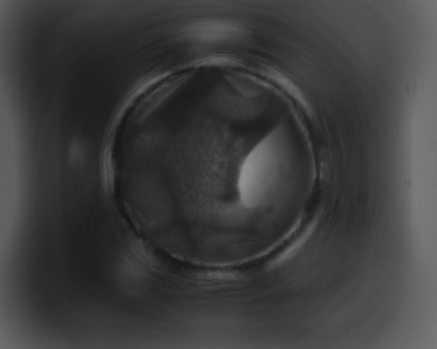 X0000100421117200806061357