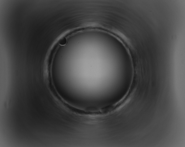 X0000100421118200806061357