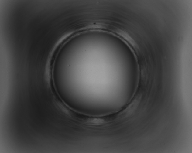 X0000100421119200806061357