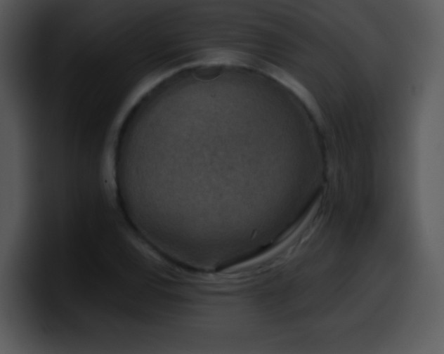 X0000100421120200806061357