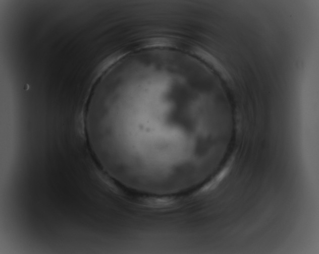 X0000100421121200806061357