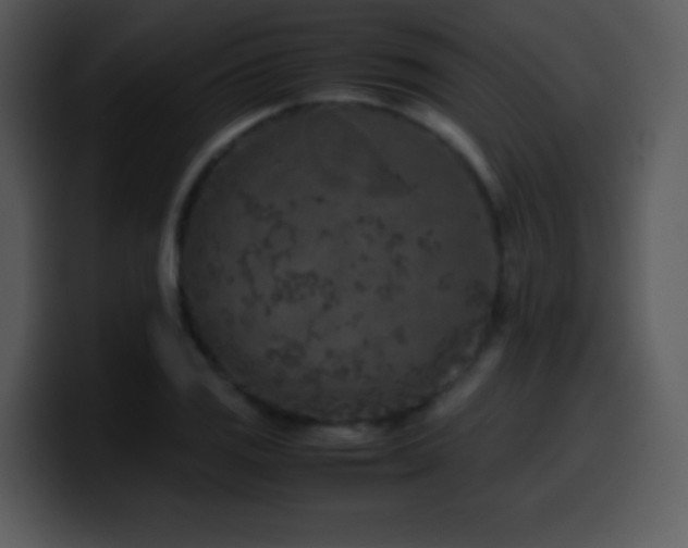 X0000100421125200806061357