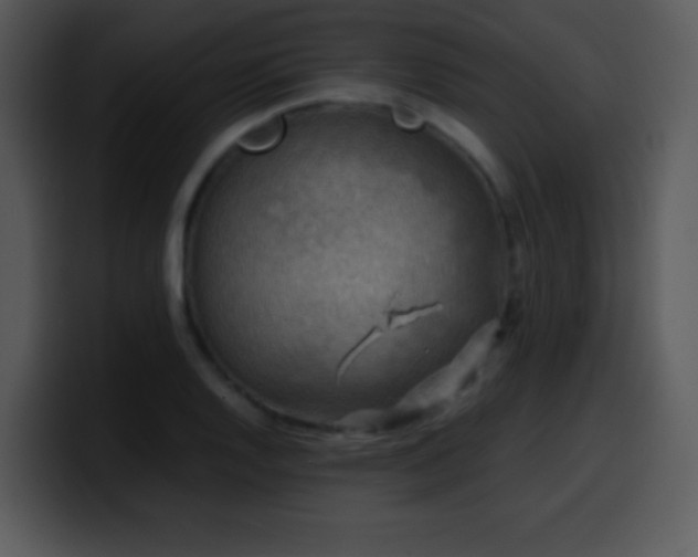 X0000100421128200806061357