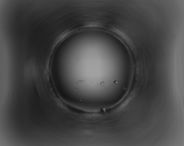 X0000100421129200806061357