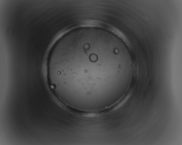 X0000100421130200806061357