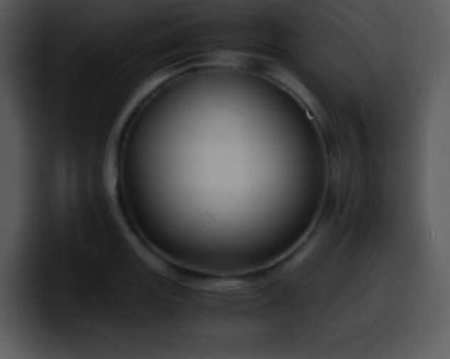 X0000100421131200806061357