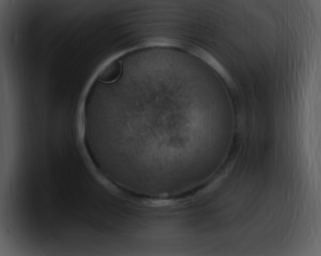 X0000100421132200806061357