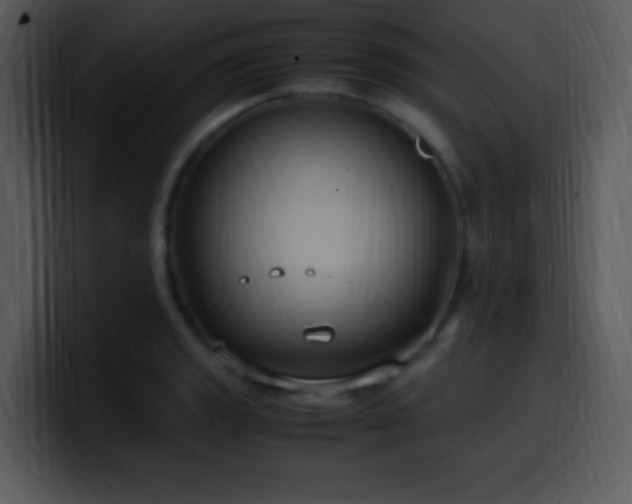 X0000100421133200806061357
