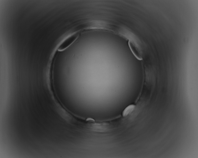 X0000100421138200806061357