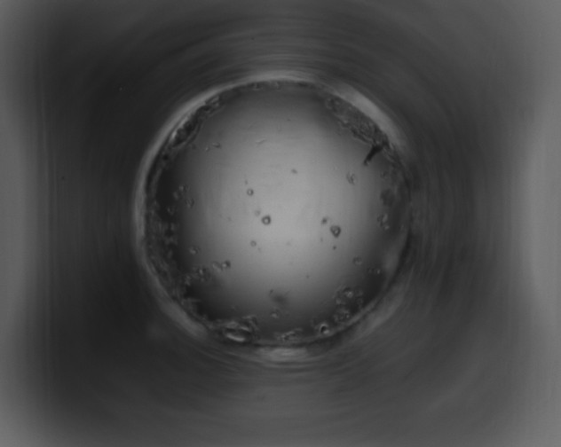 X0000100421140200806061357