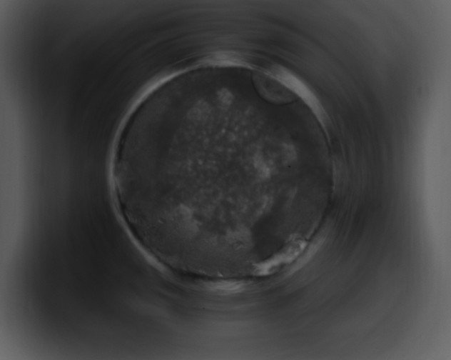 X0000100421141200806061357