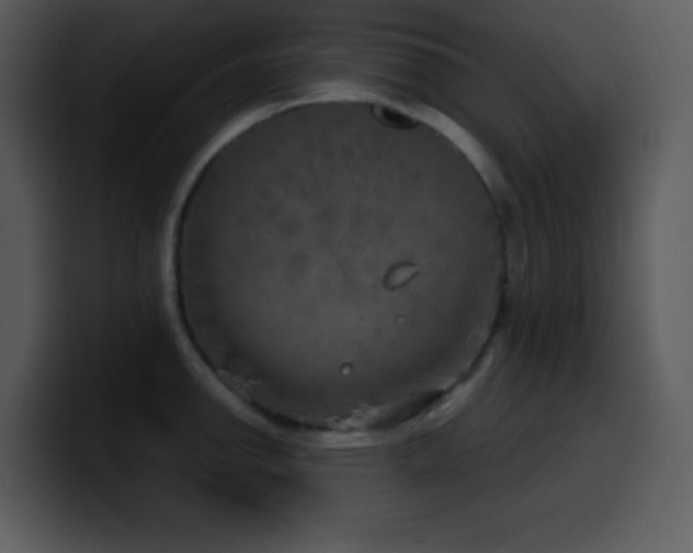X0000100421142200806061357