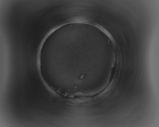 X0000100421144200806061357
