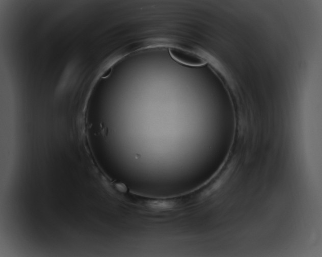 X0000100421145200806061357