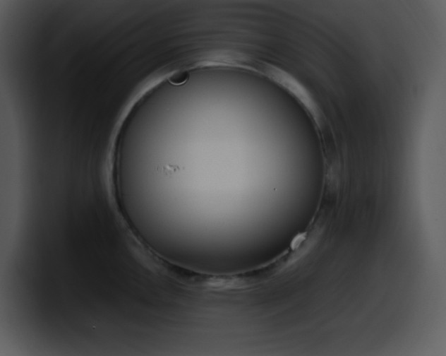 X0000100421146200806061357