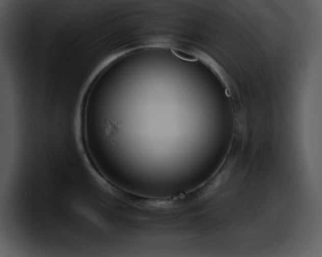X0000100421147200806061357
