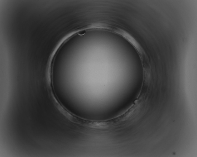 X0000100421148200806061357