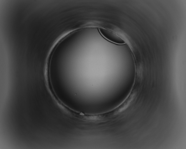 X0000100421149200806061357