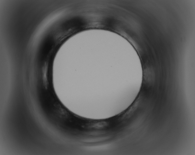 X0000100421150200806061357