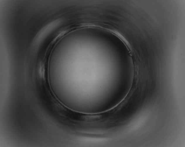 X0000100421151200806061357