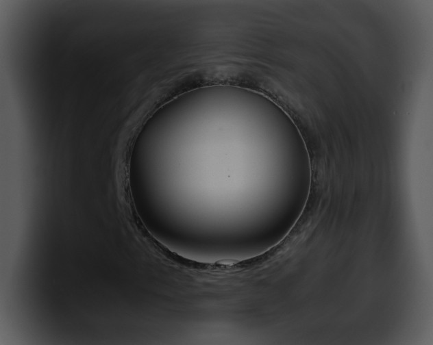 X0000100421153200806061357