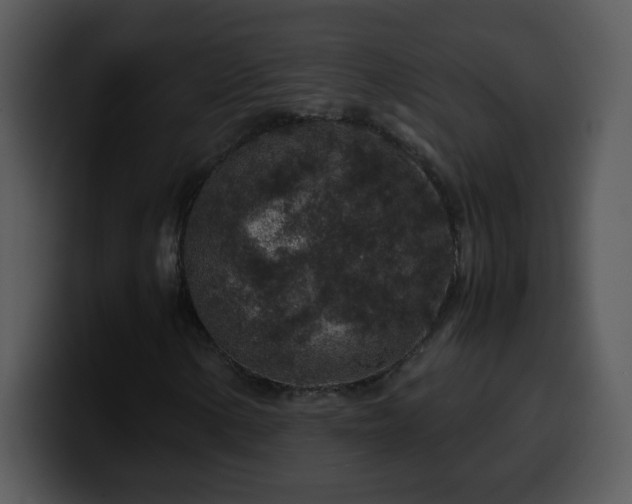 X0000100421154200806061357
