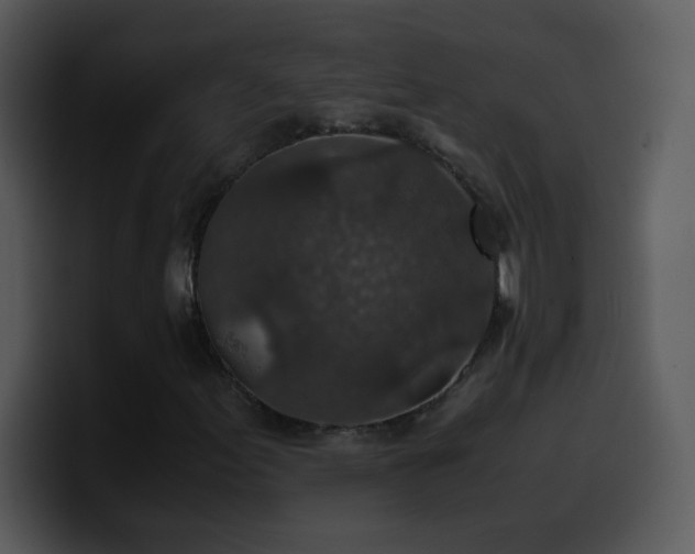 X0000100421155200806061357