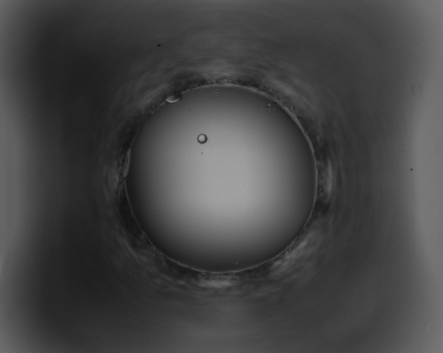 X0000100421157200806061357