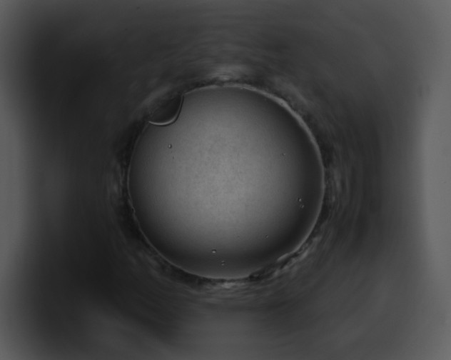 X0000100421158200806061357