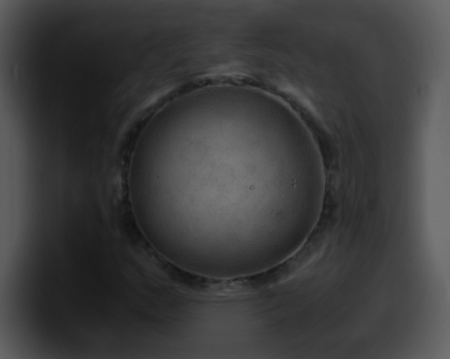 X0000100421159200806061357