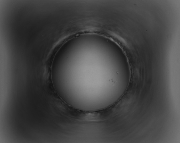 X0000100421160200806061357