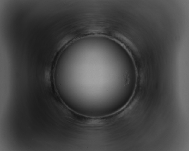 X0000100421162200806061357