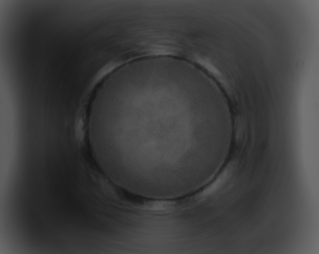 X0000100421163200806061356